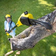 Best Lawn Pest Prevention  in Rockville, IN